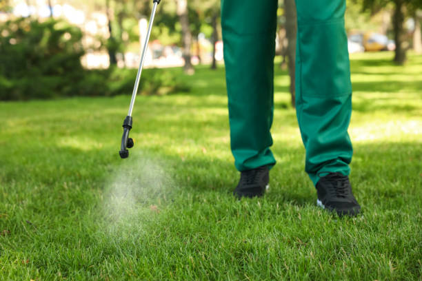 Best Ant Control Services  in Fairmount, IN
