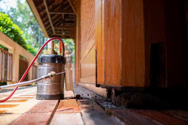 Best Local Pest Control Services  in Fairmount, IN