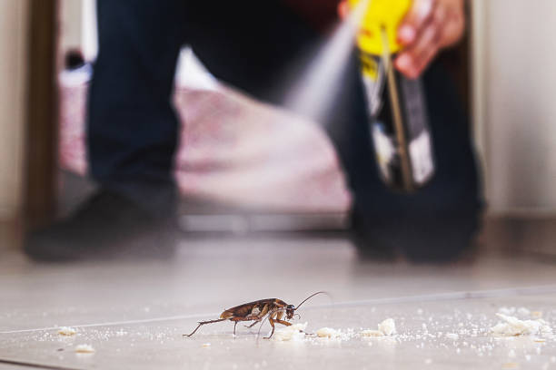 Professional Pest Control in Fairmount, IN
